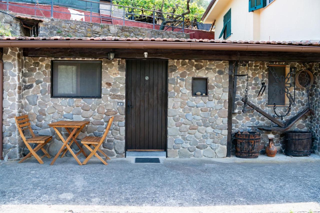 Antica Macina - “La Taverna” Rocchetta Nervina Exteriér fotografie